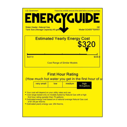 GE RealMAX Atmospheric Premium Model 40 Gallon Capacity 38,000 BTU Heating Input Short Natural Gas Water Heater